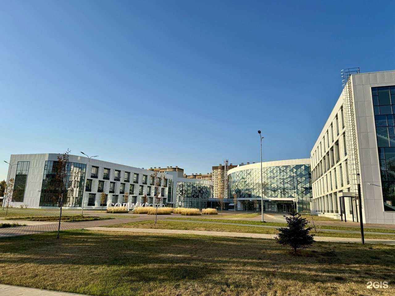 Отзывы на компанию Ирбис в г. Воронеж c фото