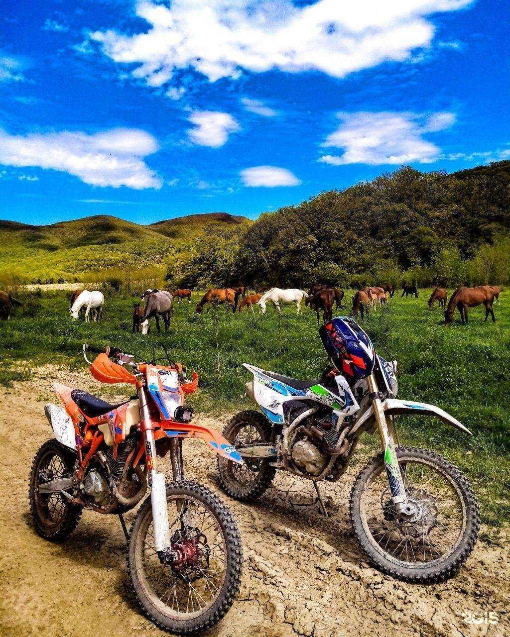 Отзывы на компанию Квадро 93 в Геленджике c фото