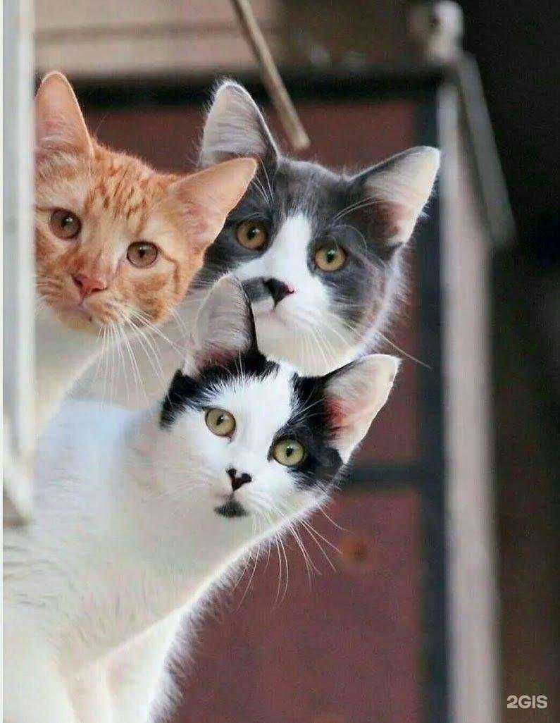 Отзывы на компанию ВсеИнструменты.ру в Казани c фото