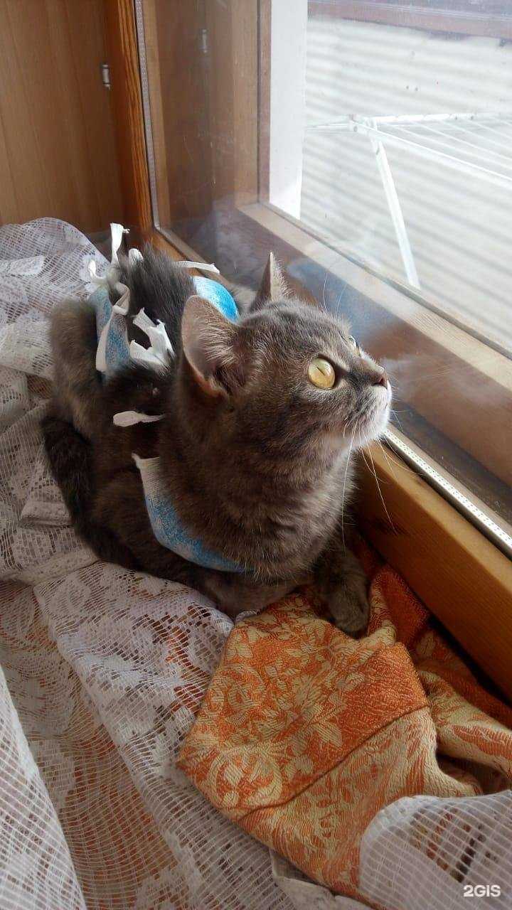 Отзывы на компанию Энимакс в г. Тольятти c фото