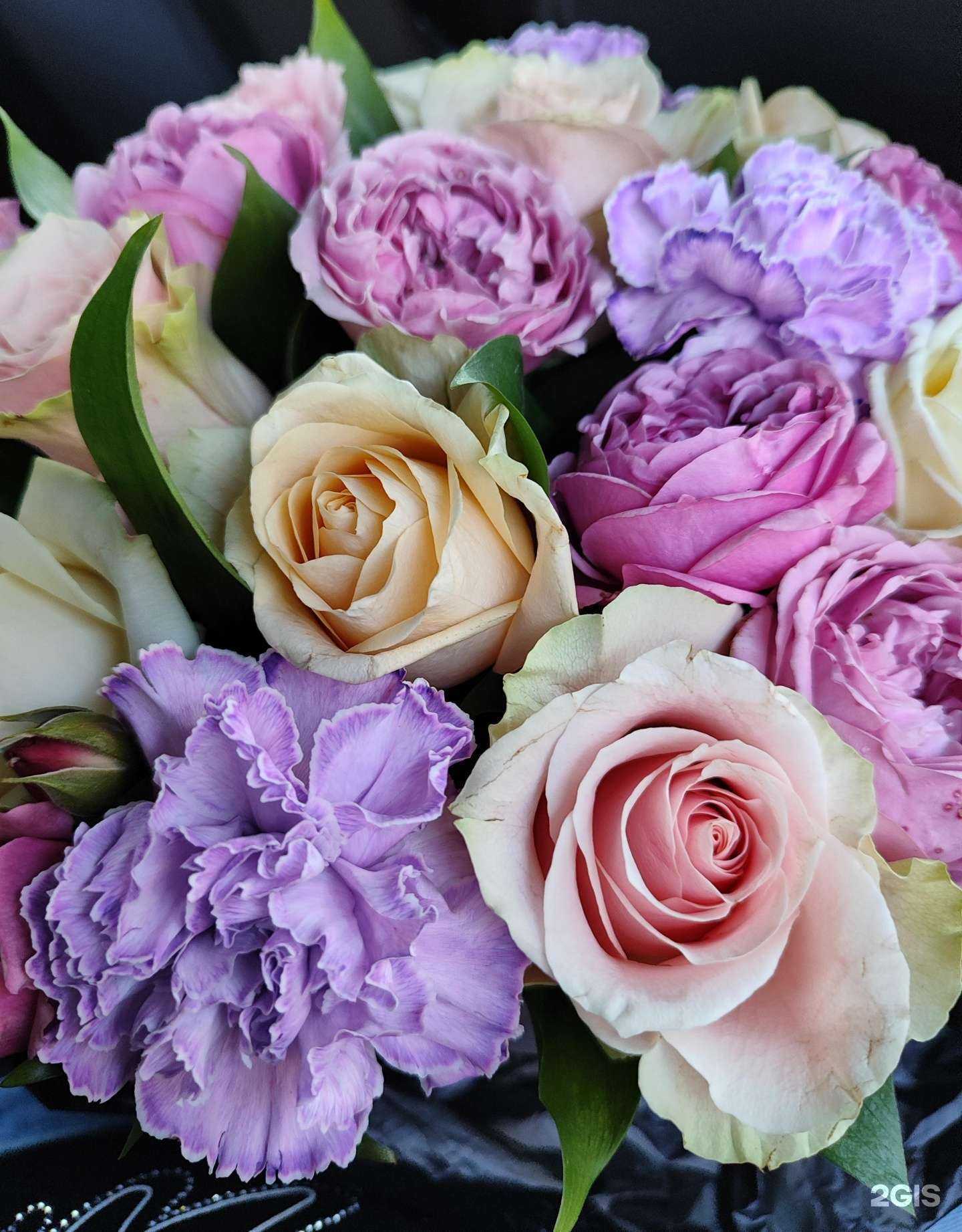 Отзывы на компанию Bloom в Самаре c фото