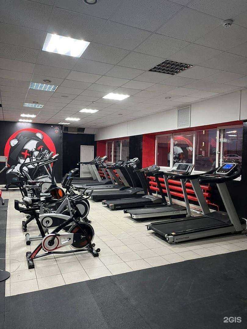 Отзывы на компанию Bear gym в г. Тула c фото