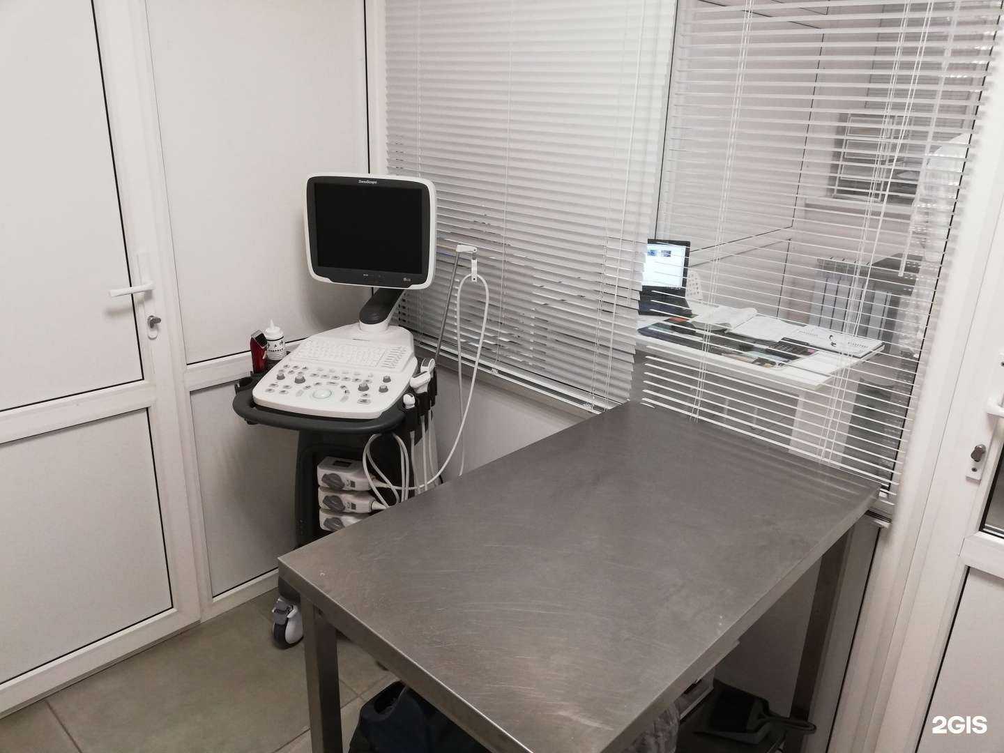 Отзывы на компанию Клиника ветеринарной медицины в Самаре c фото