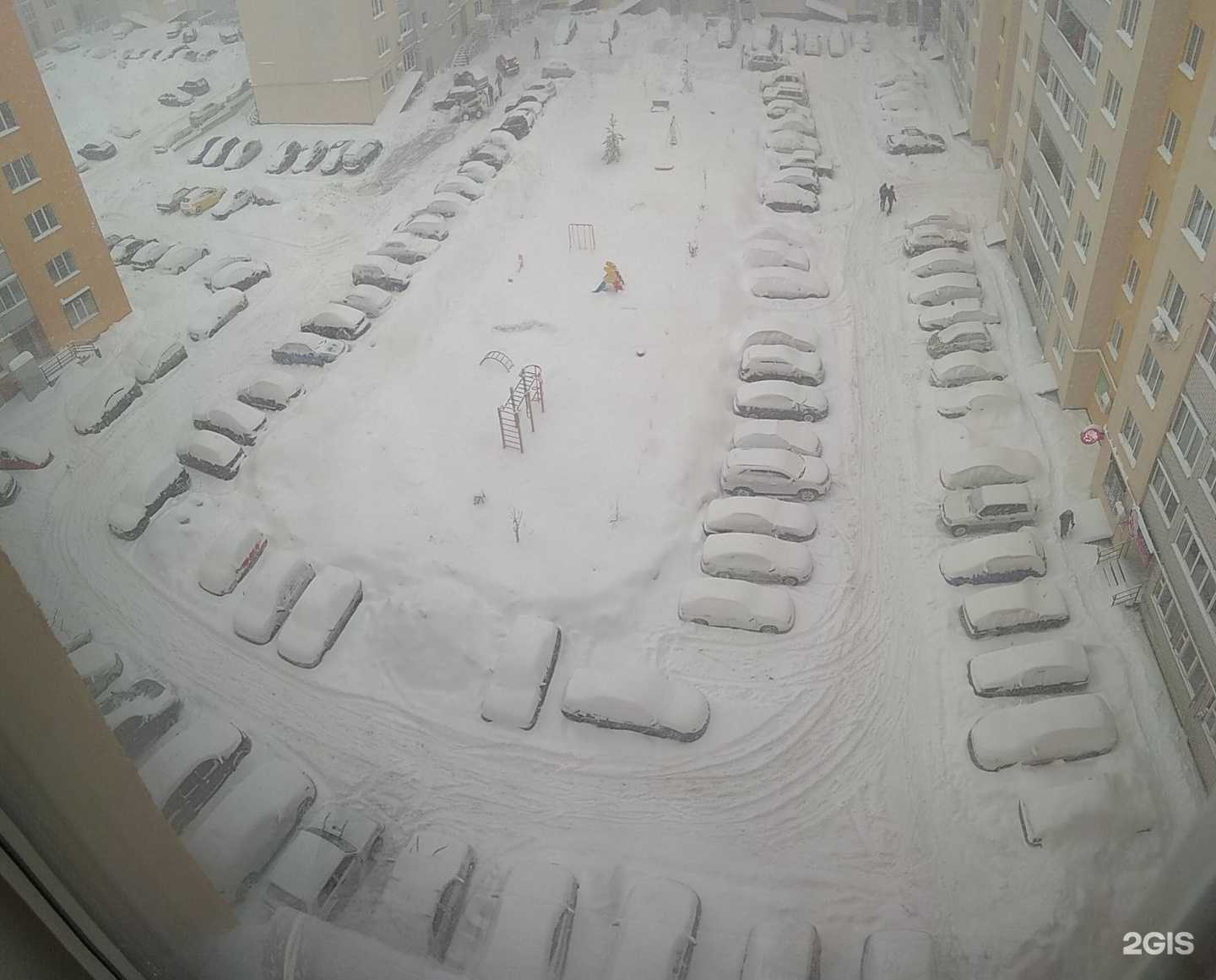 Отзывы на компанию Шеф Порт в Саратове c фото