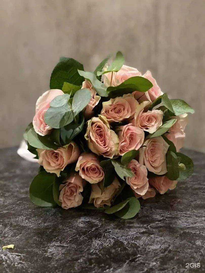 Отзывы на компанию Кактус в г. Омск c фото