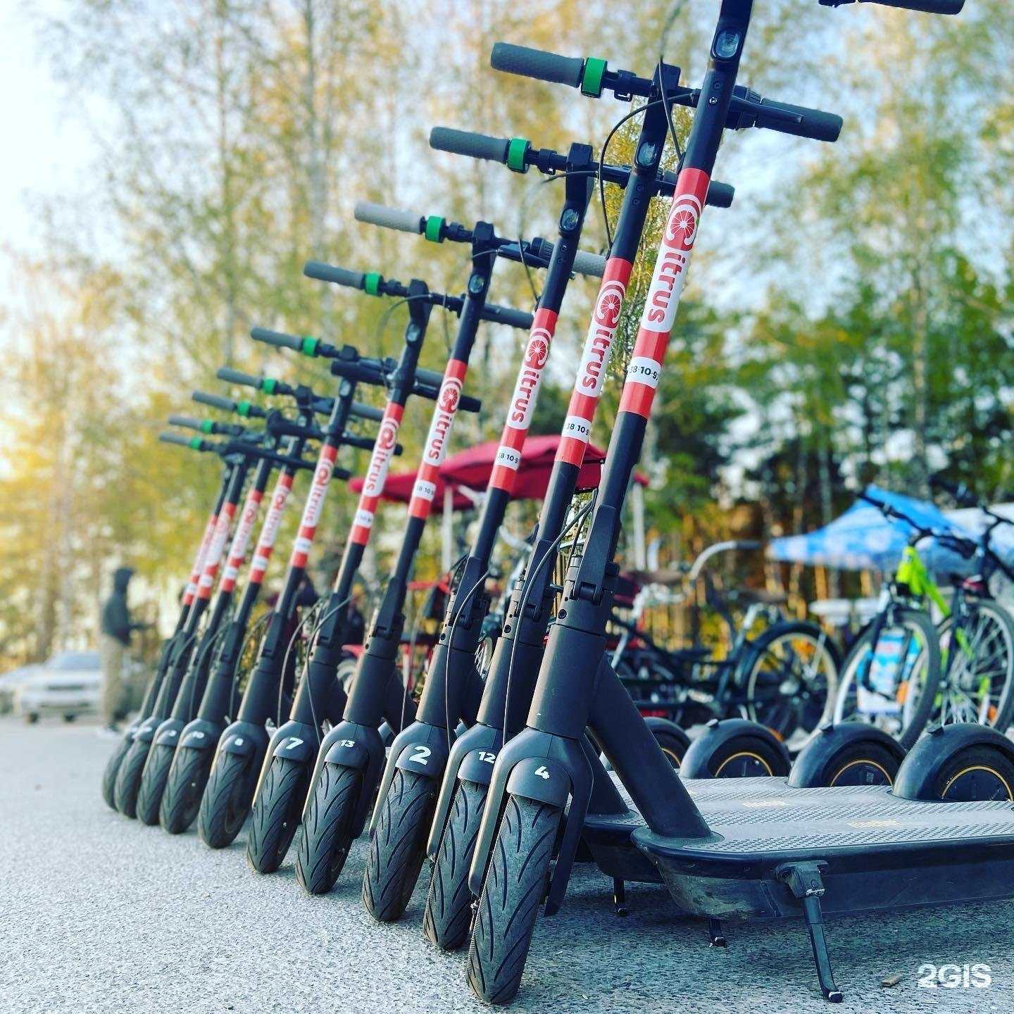 Отзывы на компанию Цитрус в Тюмени c фото