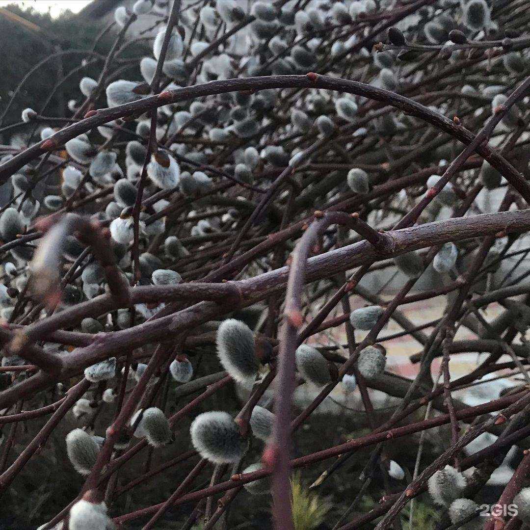 Отзывы на компанию Галатея в г. Тихорецк c фото