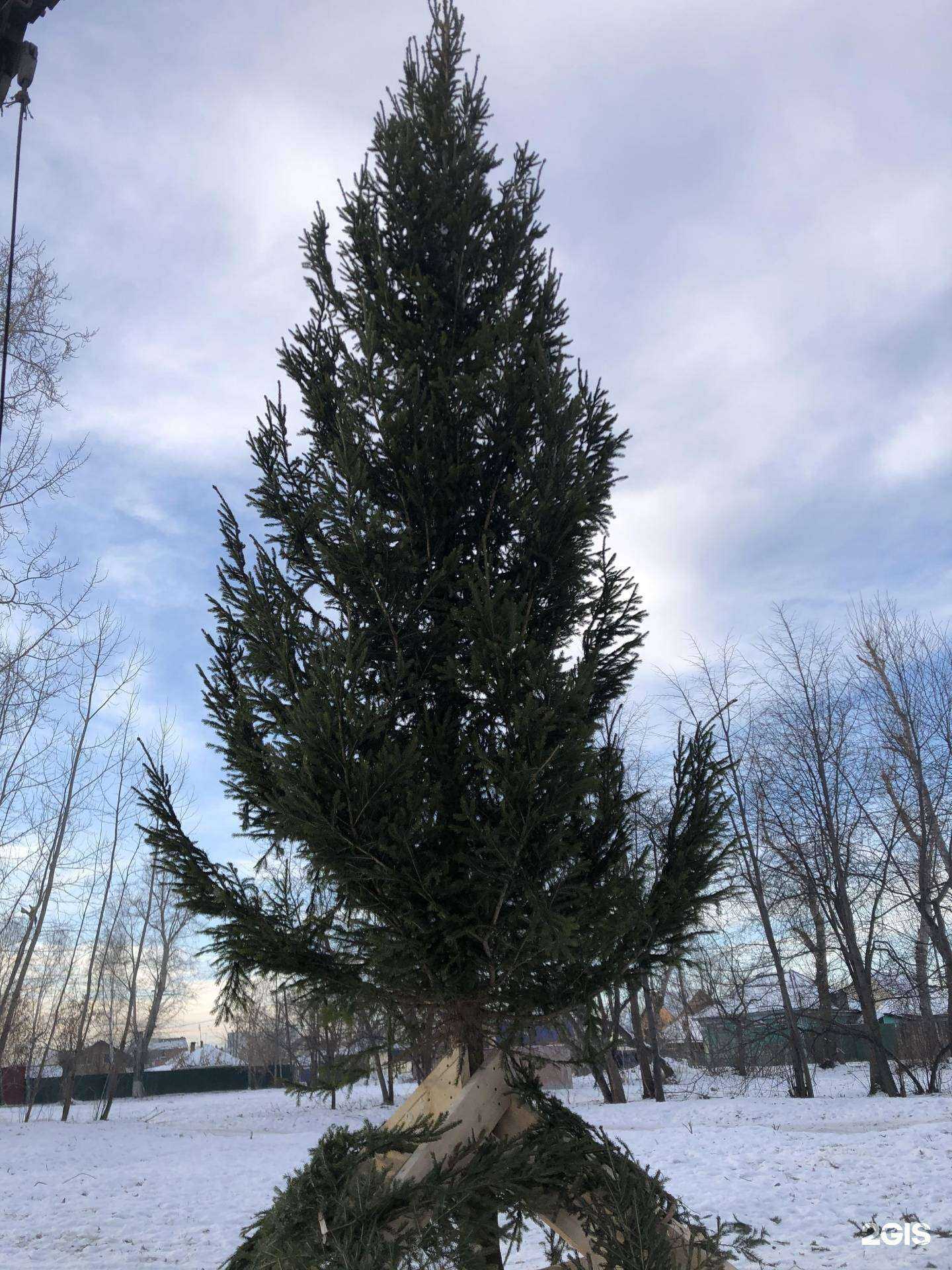 Отзывы на компанию Из леса в Тюмени c фото