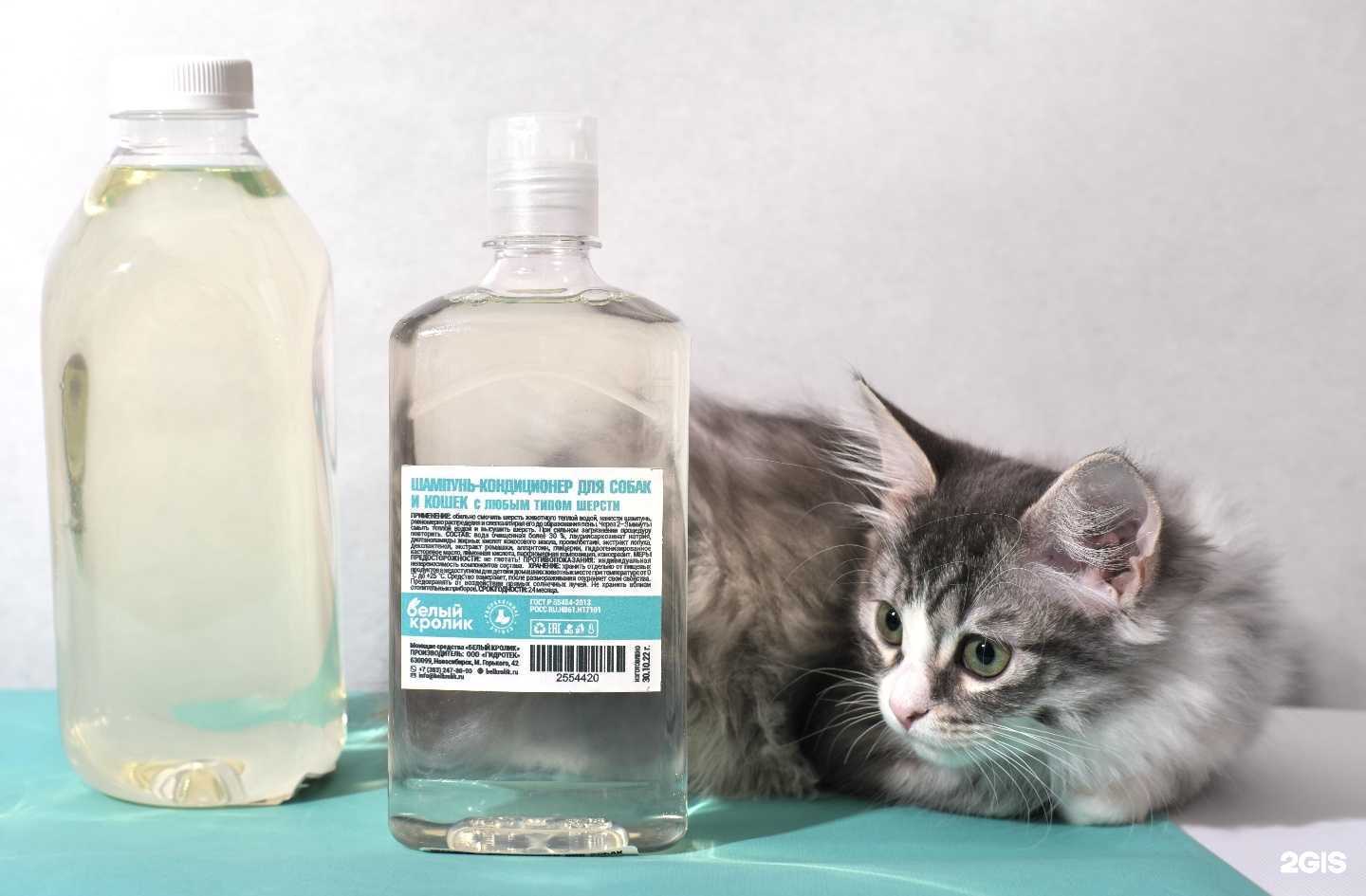 Отзывы на компанию Белый Кролик в г. Пермь c фото