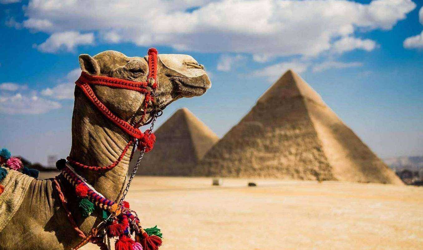 Отзывы на компанию ТЫ Априори Трэвэл в Екатеринбурге c фото