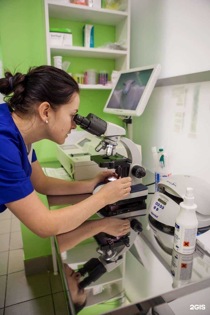 Отзывы на компанию Ветеринарный центр в Петрозаводске c фото