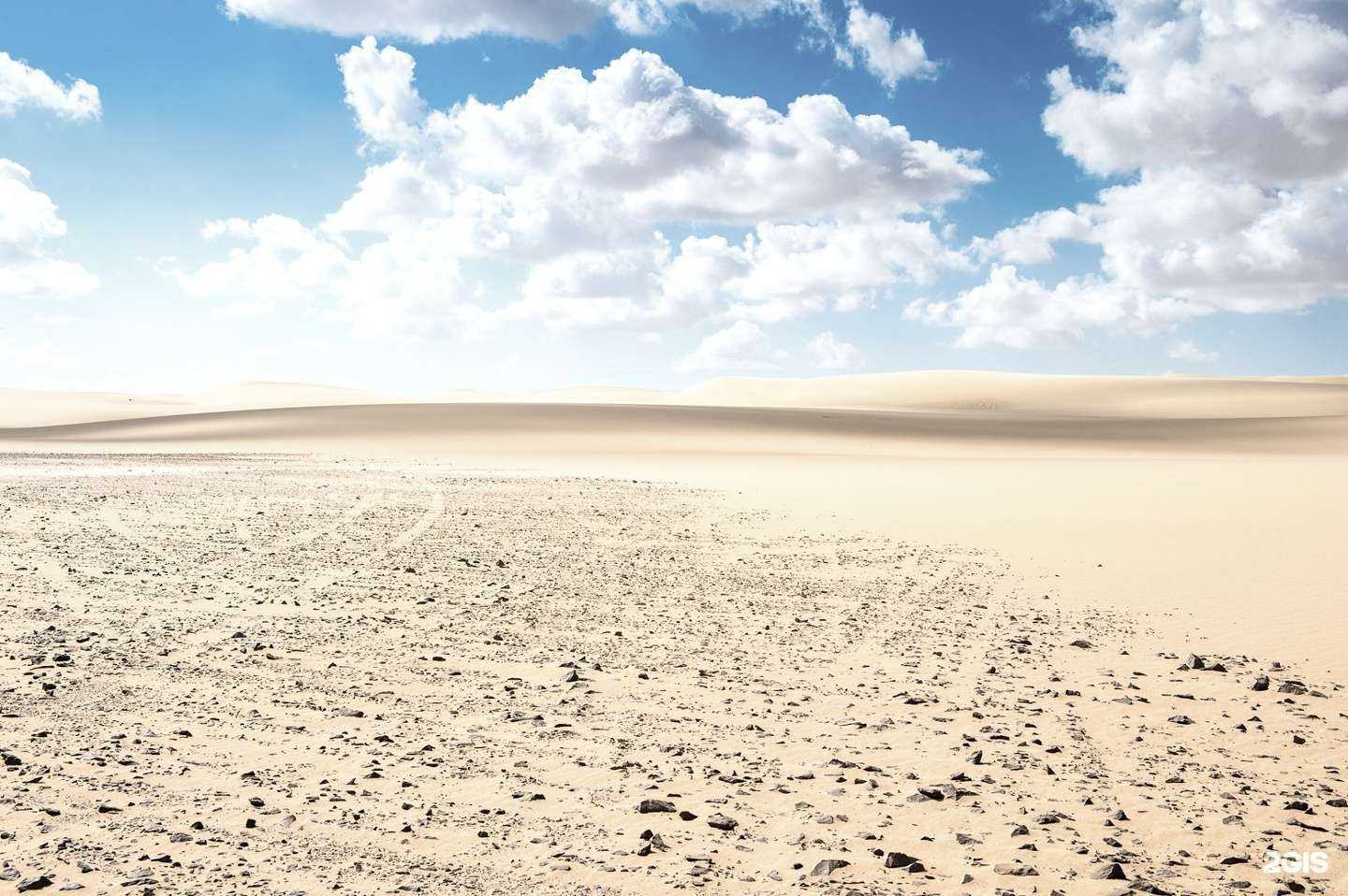 Отзывы на компанию Инсайт в Новосибирске c фото