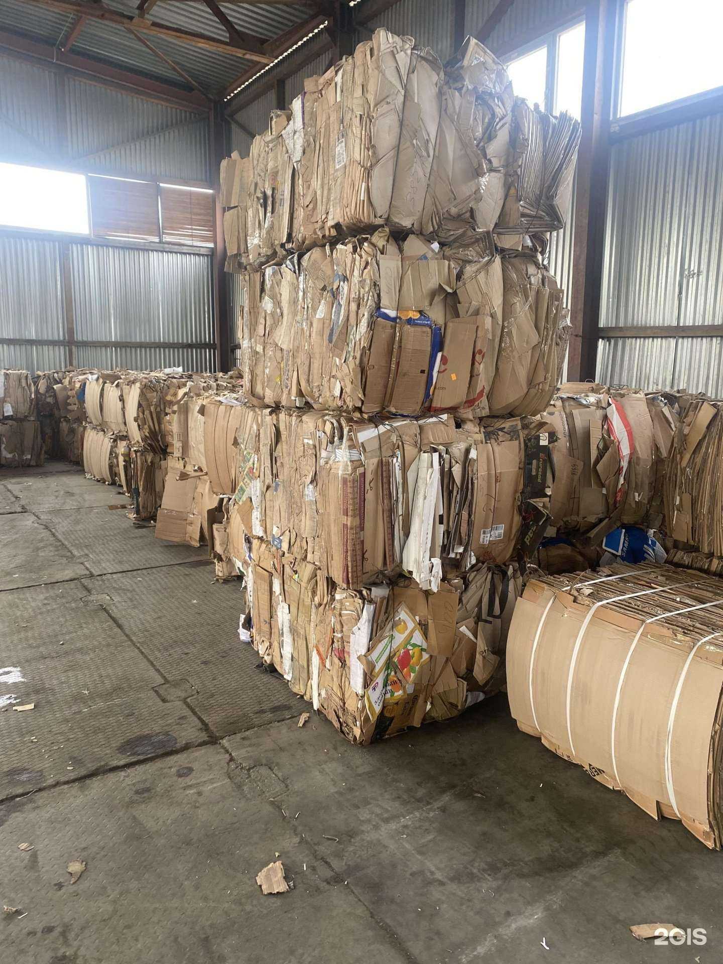 Отзывы на компанию Зеленая точка в Новосибирске c фото