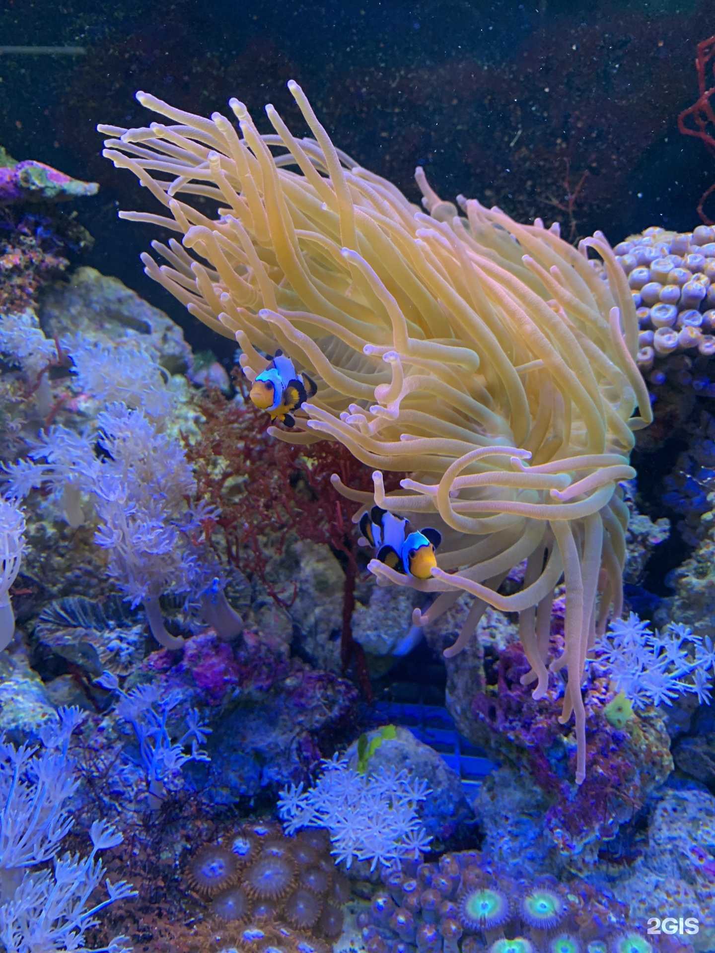 Отзывы на компанию Акваград в г. Нижний Новгород c фото