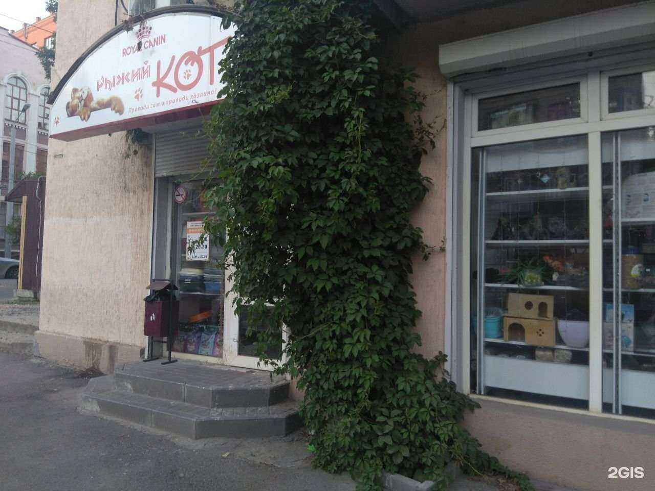 Отзывы на компанию Рыжий кот в Ростове-на-Дону c фото