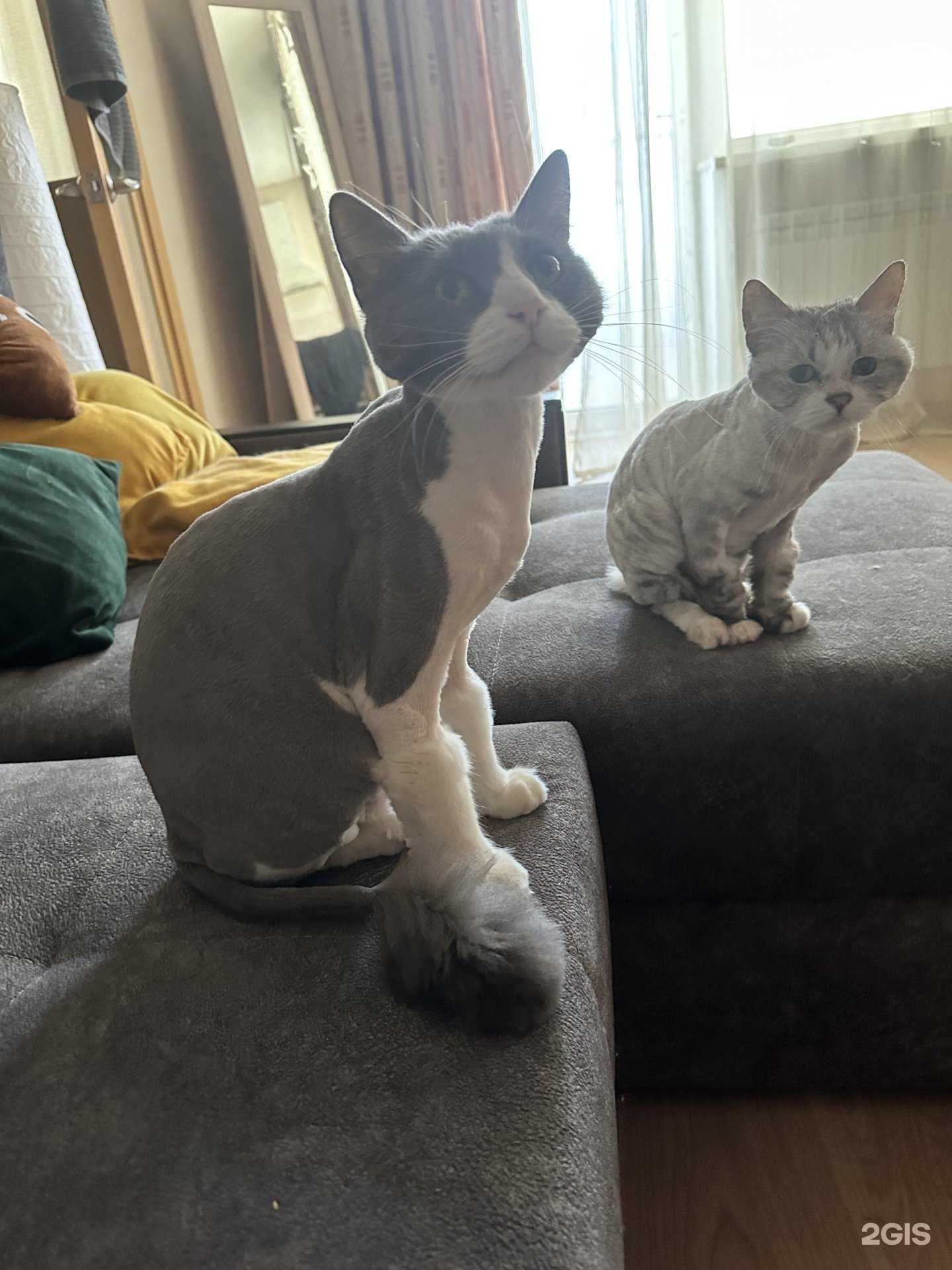 Отзывы на компанию #Дружок в г. Астрахань c фото