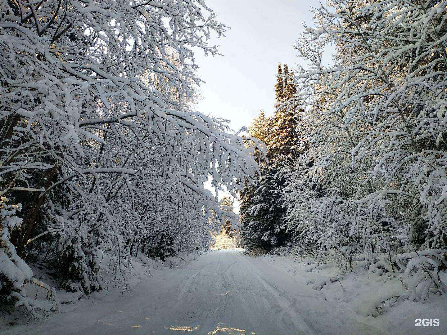 Отзывы на компанию Август в Томске c фото