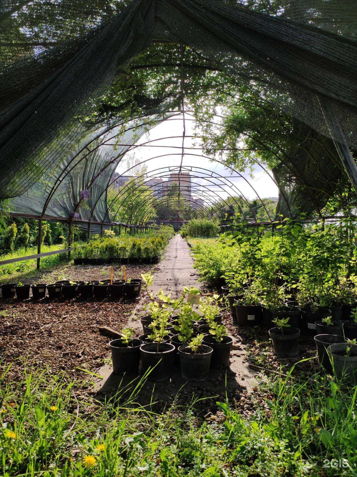 Отзывы на компанию Садовый центр в Краснодаре c фото