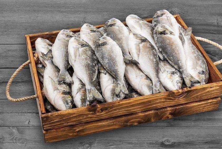 Отзывы на компанию Золотая fishka акватории в Тольятти c фото