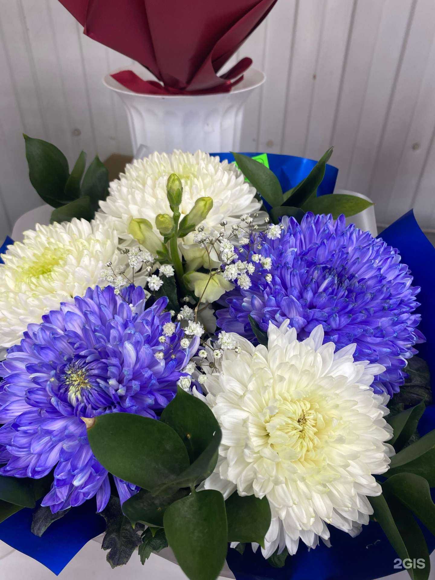 Отзывы на компанию Sevil в Бийске c фото