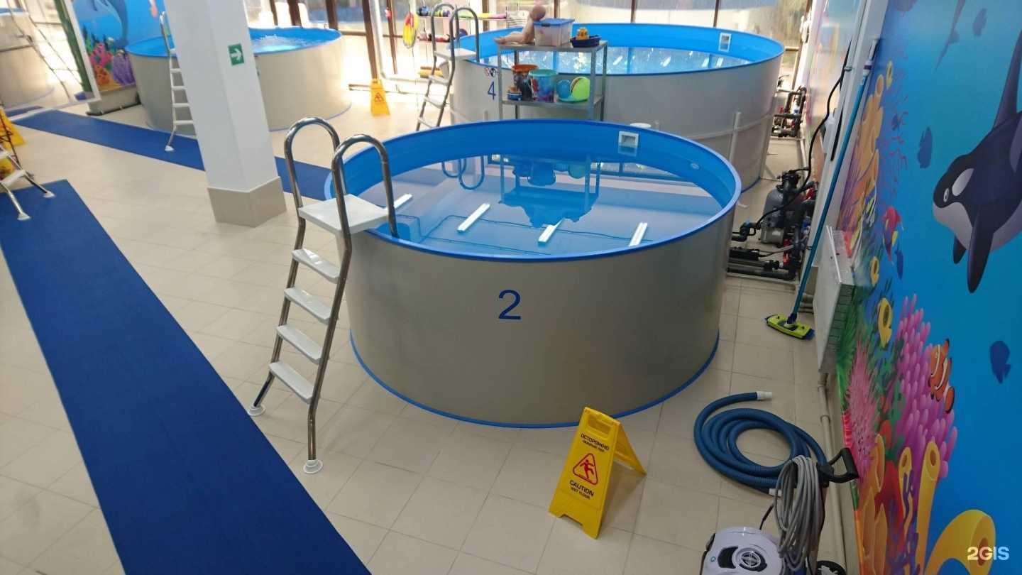 Отзывы на компанию Академия детского плавания в г. Сочи c фото