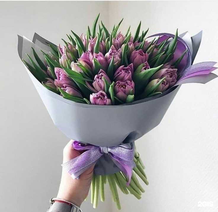 Отзывы на компанию Fleyr в Тарусе c фото