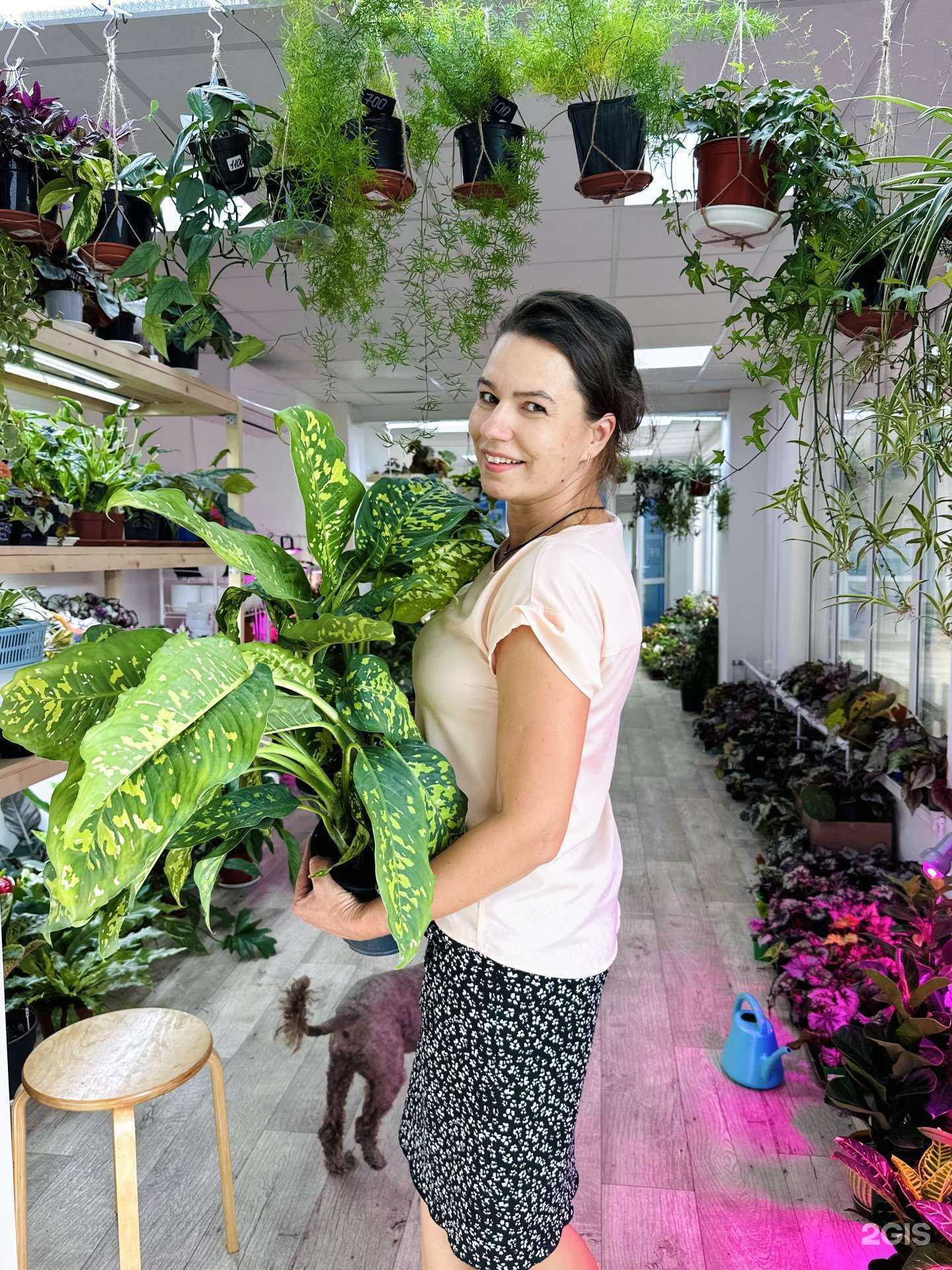 Отзывы на компанию РостокВЛ в Владивостоке c фото