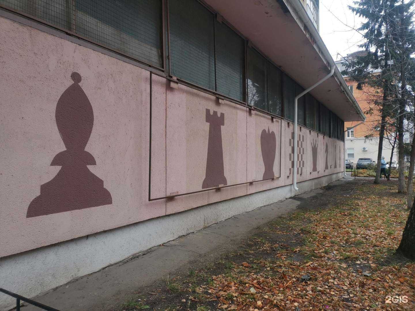 Отзывы на компанию Воронежский областной шахматный клуб в Воронеже c фото - фотография 2 из 2