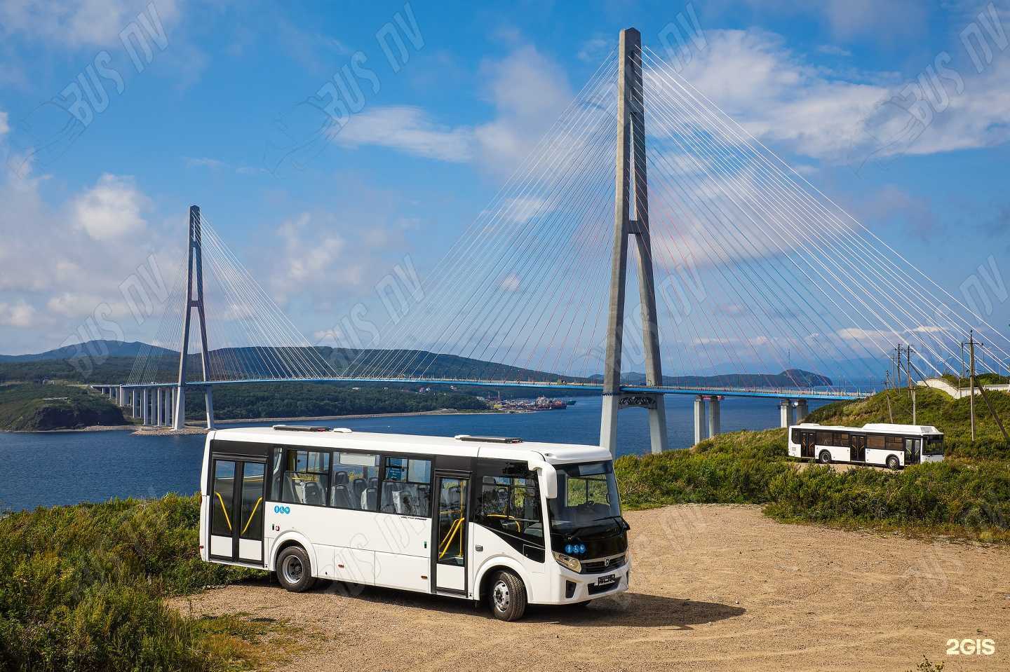 Отзывы на компанию Бас-ДВ в Владивостоке c фото