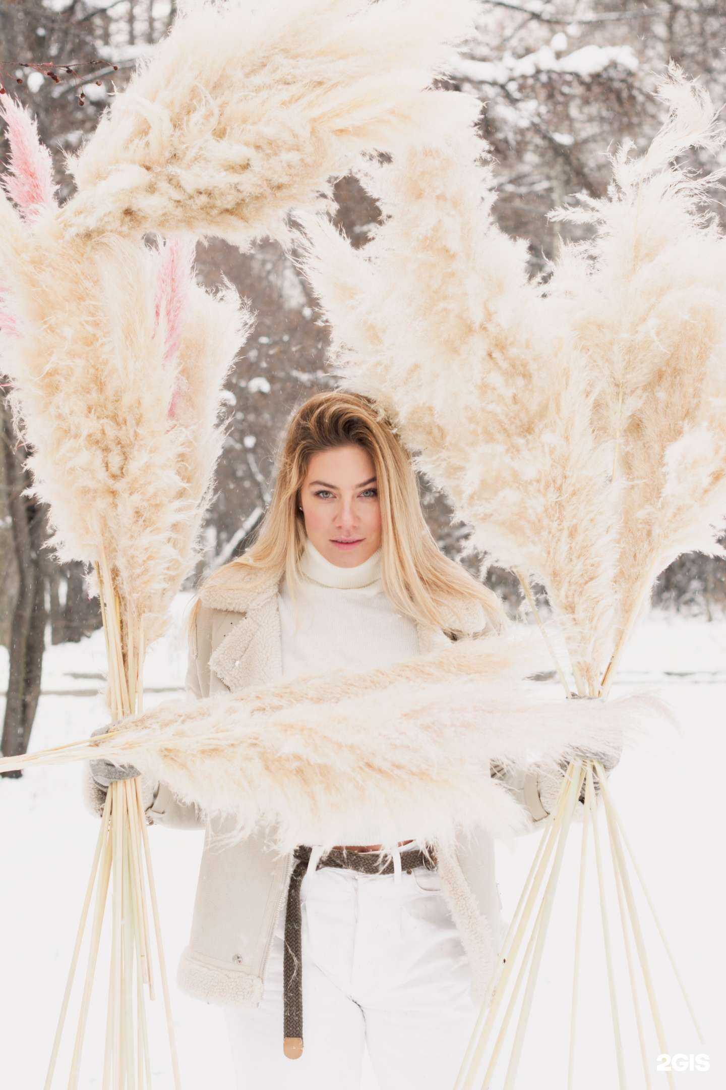 Отзывы на компанию Kardo в Новосибирске c фото