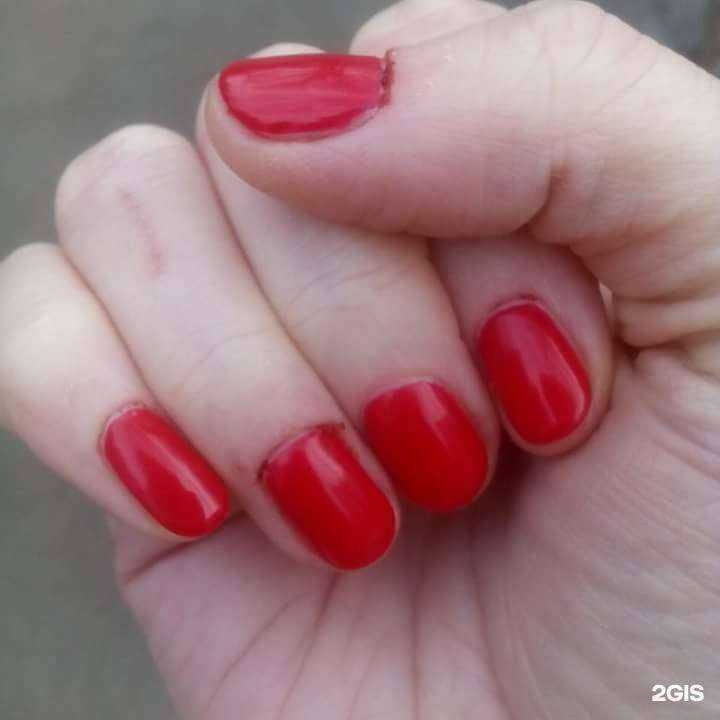 Отзывы на компанию Фламинго в г. Ульяновск c фото