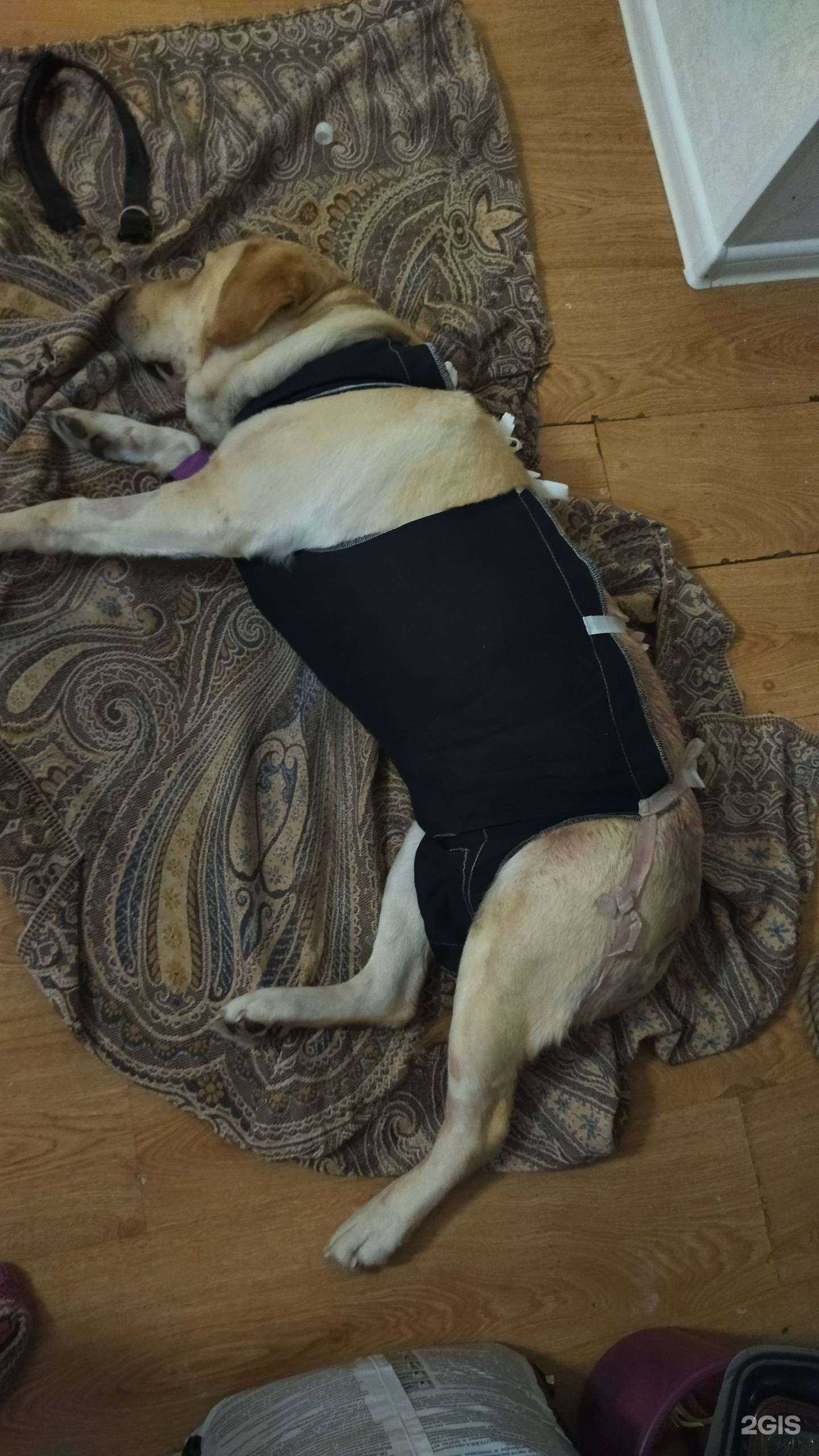 Отзывы на компанию Маша и медвет в г. Уфа c фото