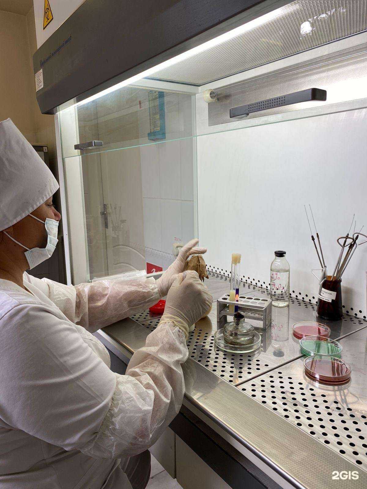 Отзывы на компанию Ветуправление города Сочи в Сочи c фото