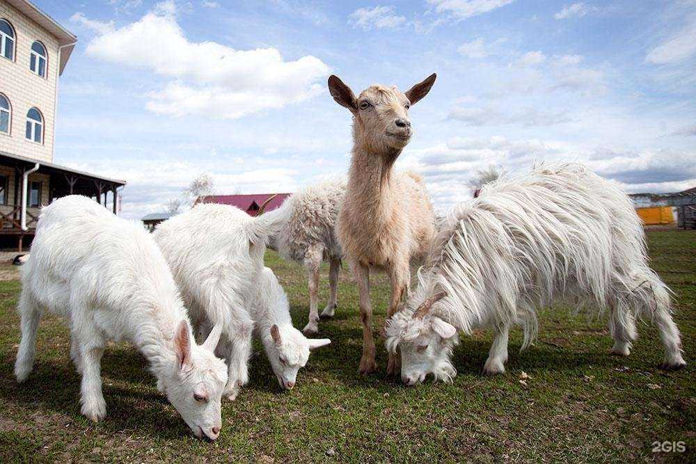 Отзывы на компанию ЮгАгроХим в Самаре c фото