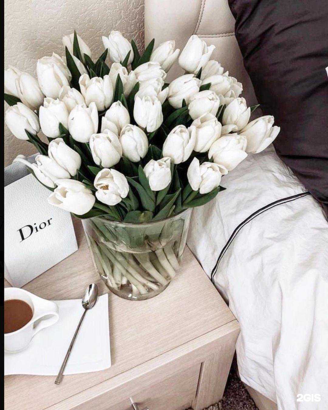 Отзывы на компанию Cherry studio в Новосибирске c фото