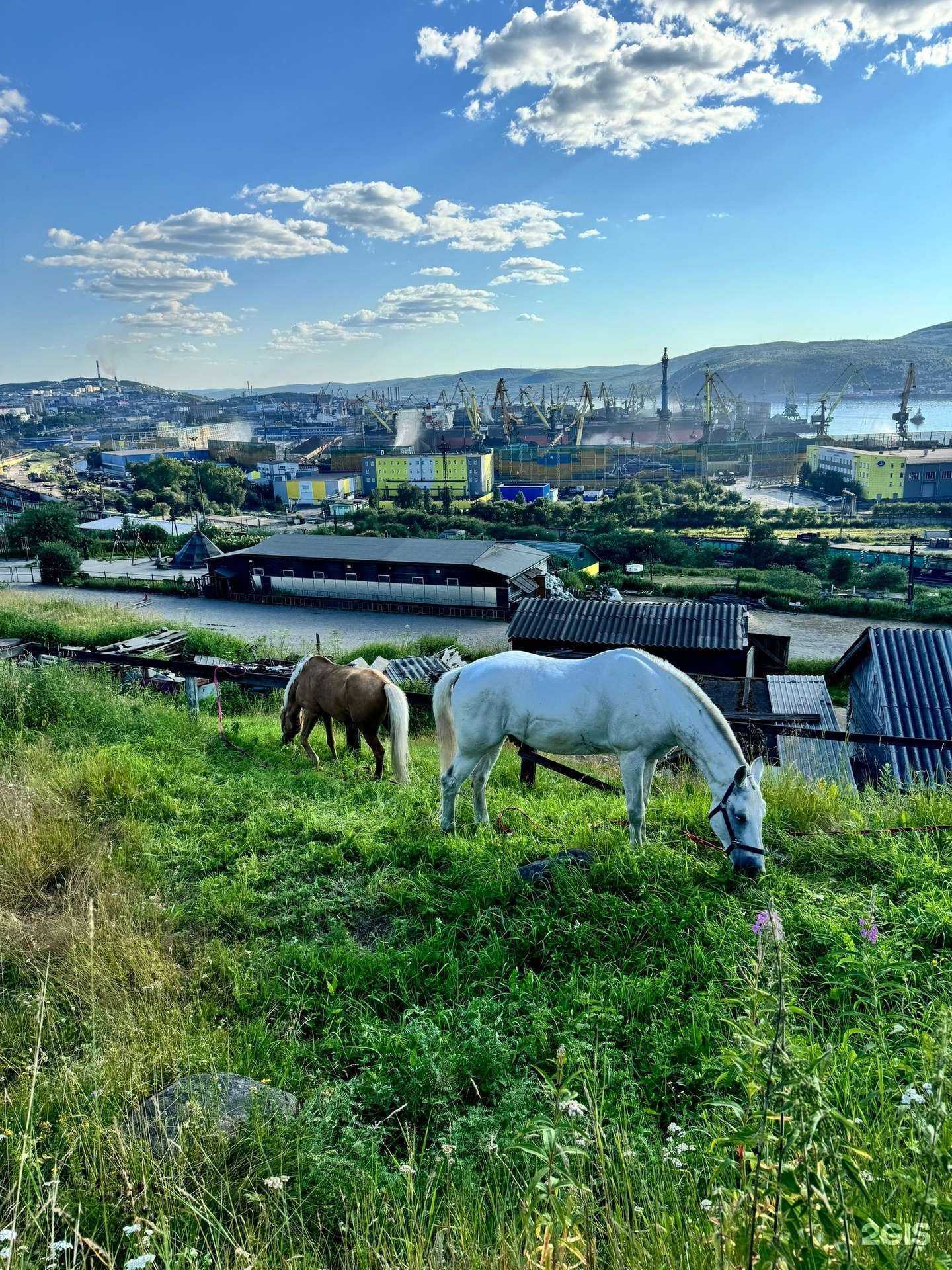 Отзывы на компанию Легенды Севера в г. Мурманск c фото