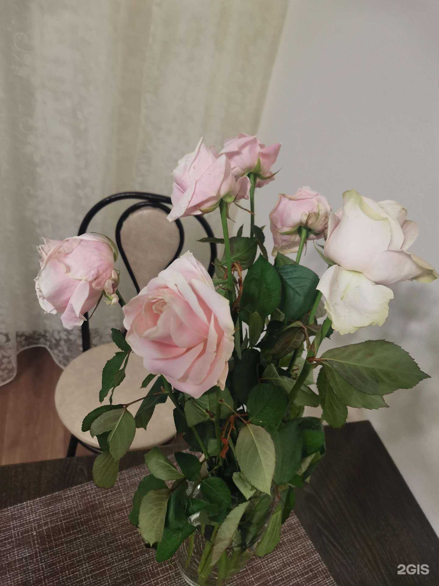 Отзывы на компанию Цветочная база в Орле c фото