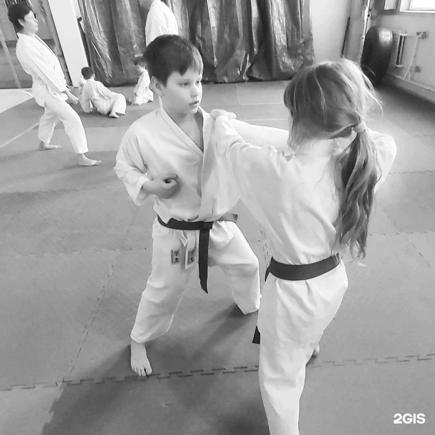 Отзывы на компанию Окинавское годзю-рю карате-до в г. Калининград c фото