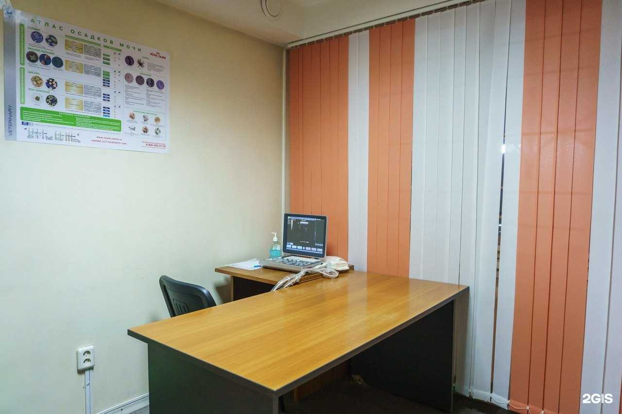 Отзывы на компанию НикаВет в г. Красноярск c фото