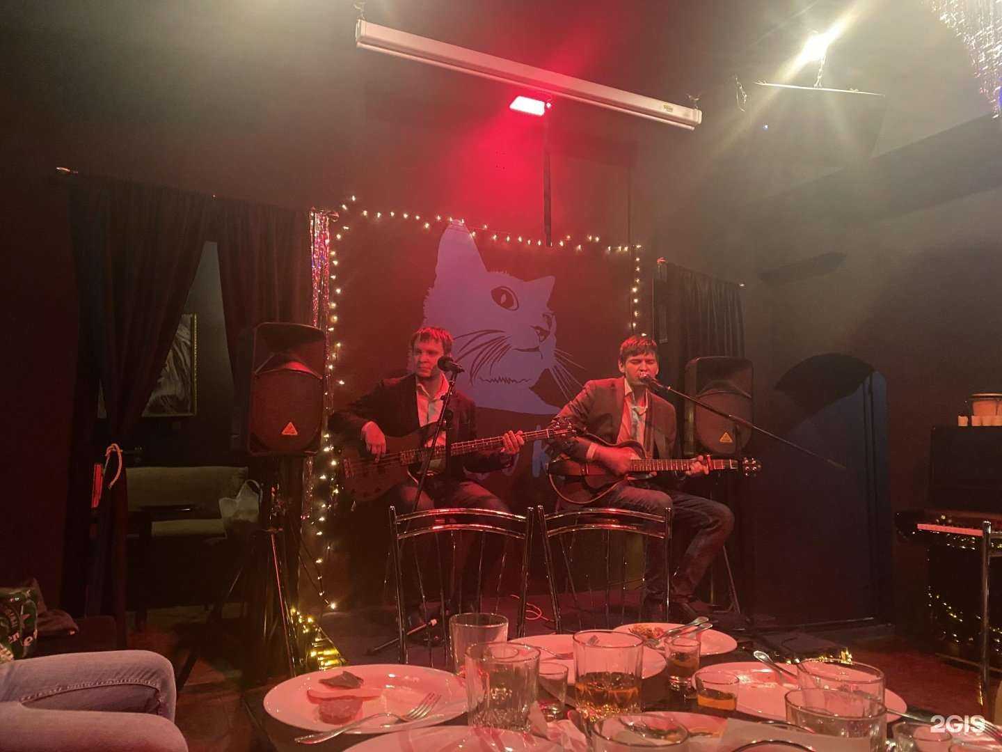 Отзывы на компанию Синий кот в Нижнем Новгороде c фото