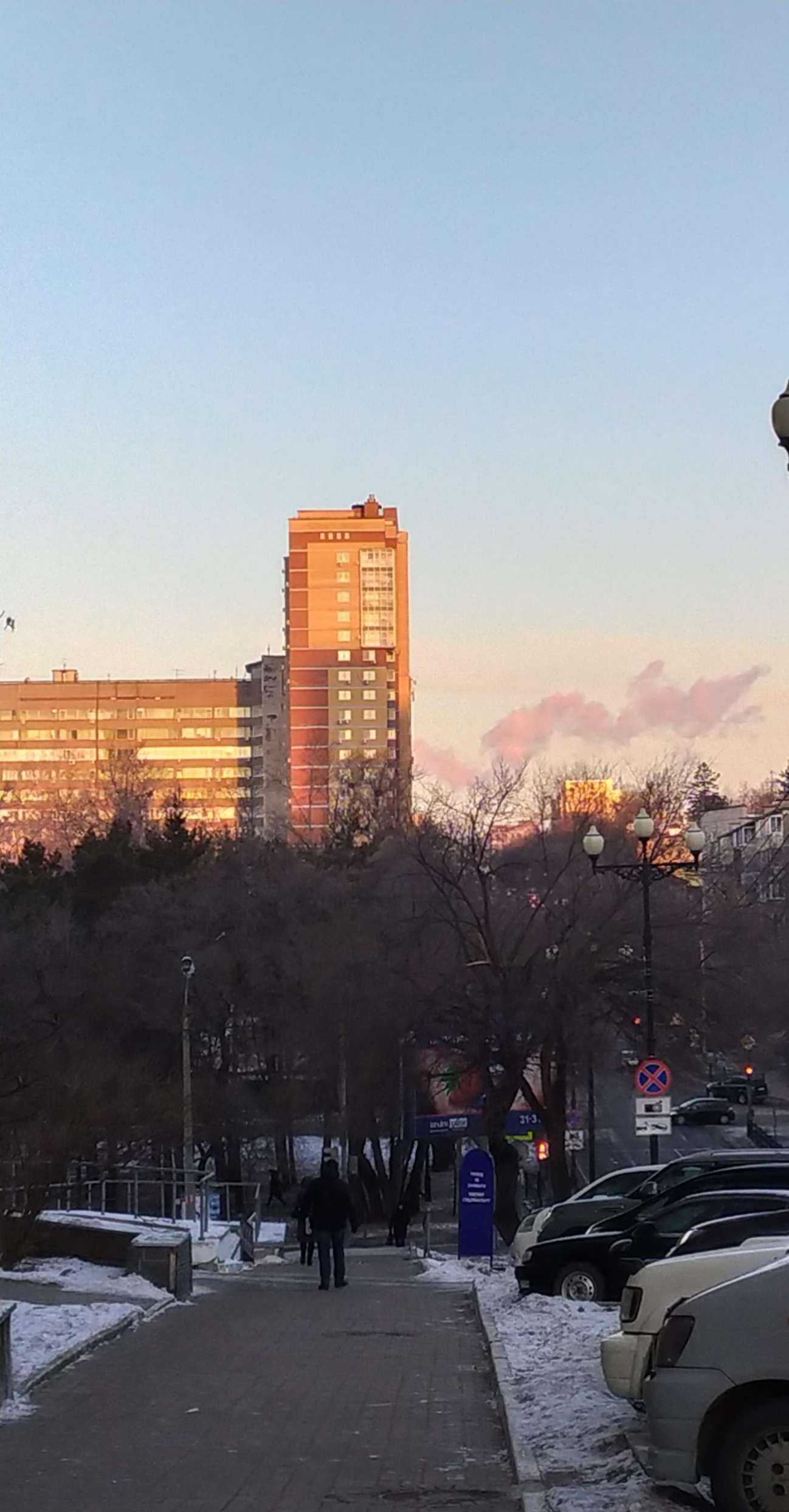 Отзывы на компанию Ёлки Иголки в Хабаровске c фото - фотография 2 из 2