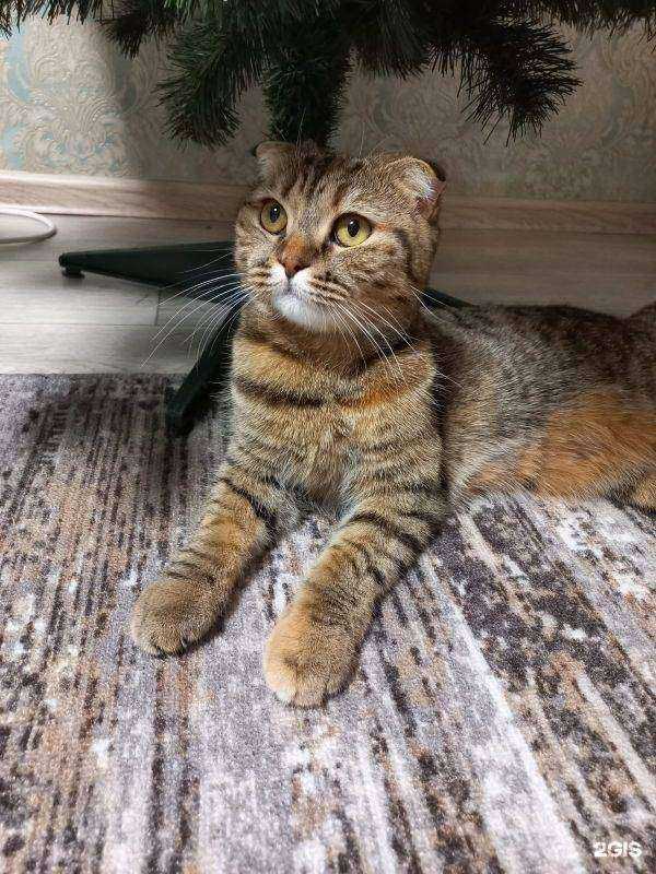 Отзывы на компанию Interland в г. Ревда c фото