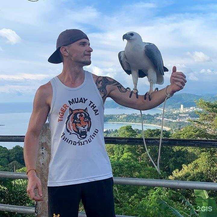 Отзывы на компанию Феникс в г. Балашиха c фото