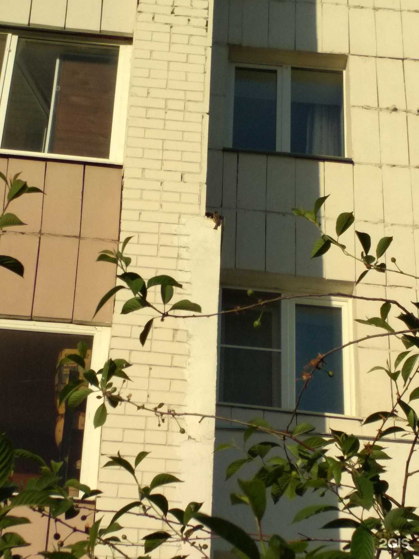 Отзывы на компанию Компания по укладке крупноформатной плиты в Казани c фото - фотография 2 из 2