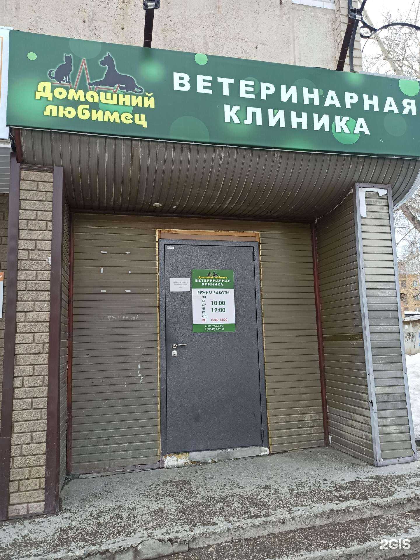 Отзывы на компанию Домашний любимец в г. Полевской c фото