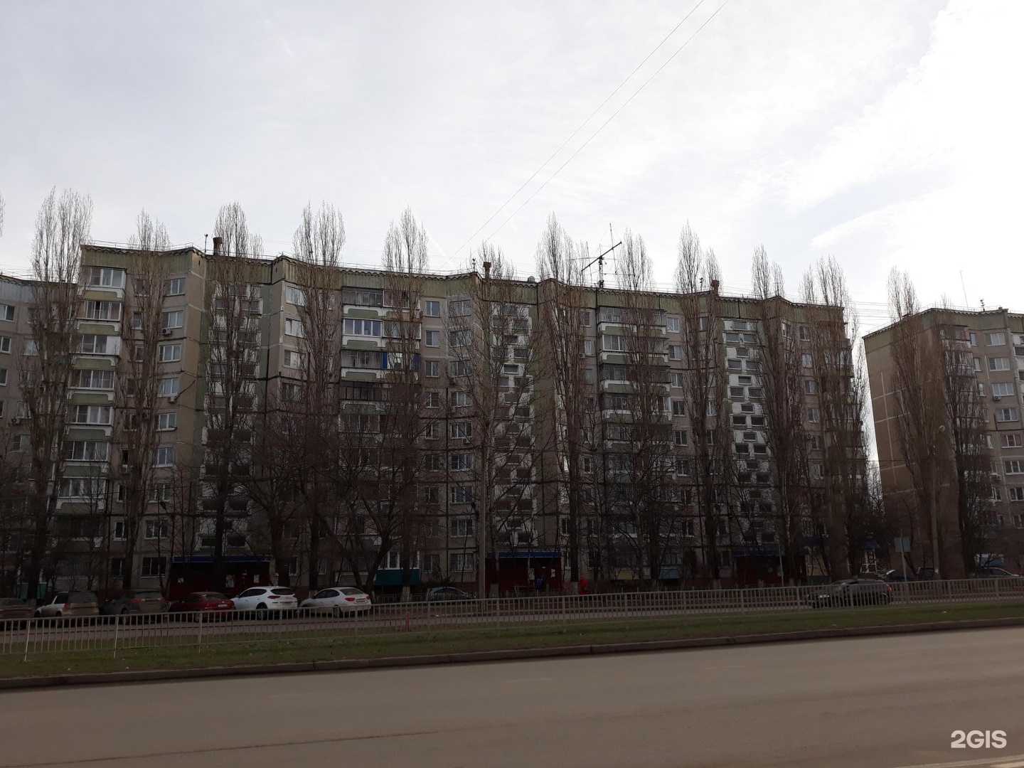 Отзывы на компанию Мастер-Стом в Липецке c фото - фотография 2 из 2