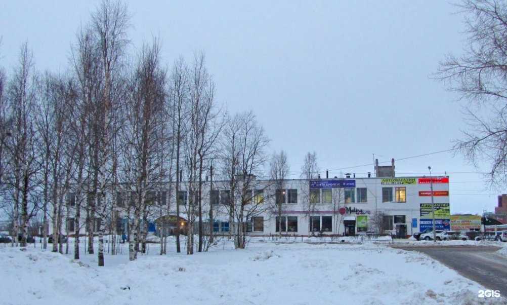 Отзывы на компанию Империя дерева в Северодвинске c фото - фотография 2 из 2