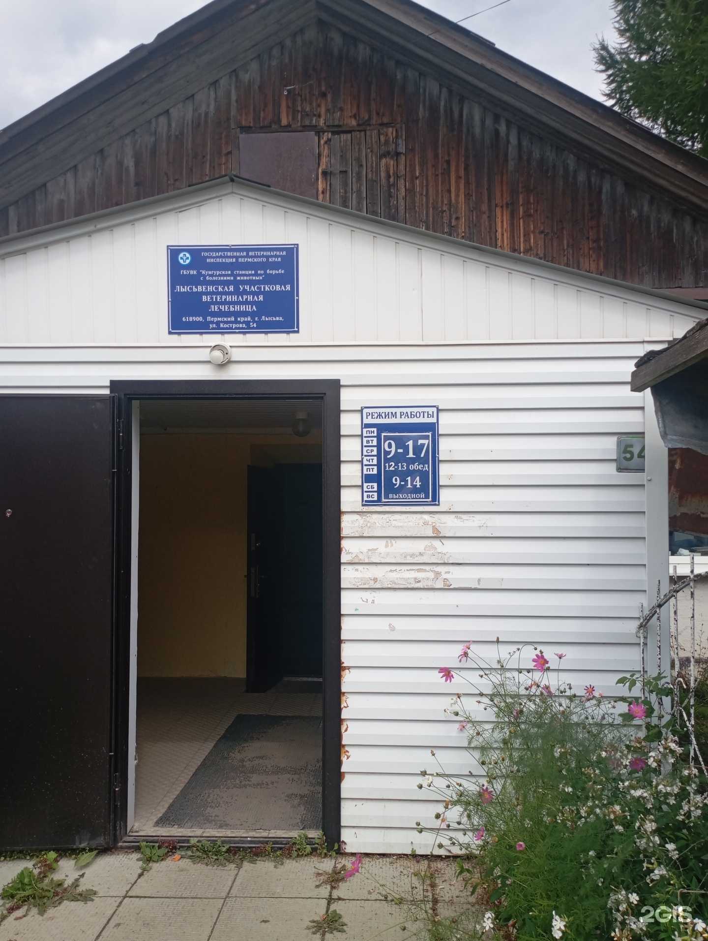 Отзывы на компанию Лысьвенская участковая ветеринарная лечебница в г. Лысьва c фото