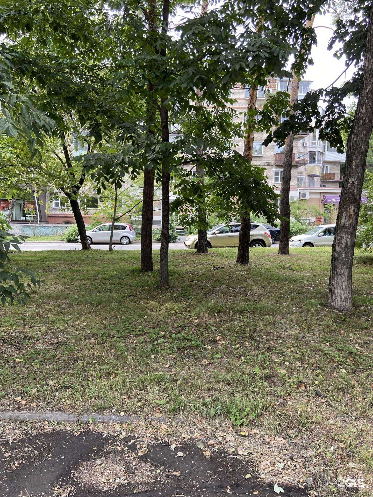 Отзывы на компанию Silk в Хабаровске c фото - фотография 2 из 2