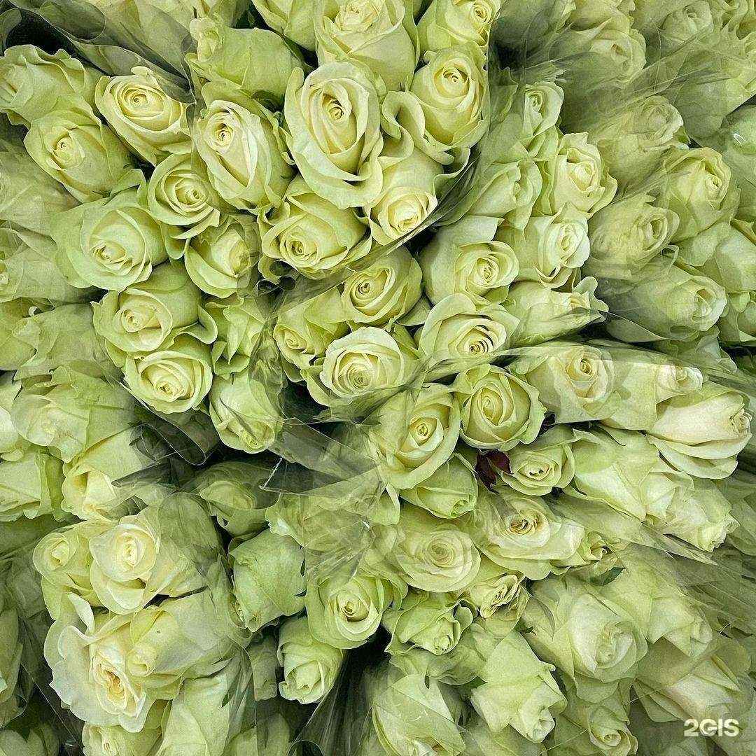 Отзывы на компанию Зеленый мир в г. Липецк c фото